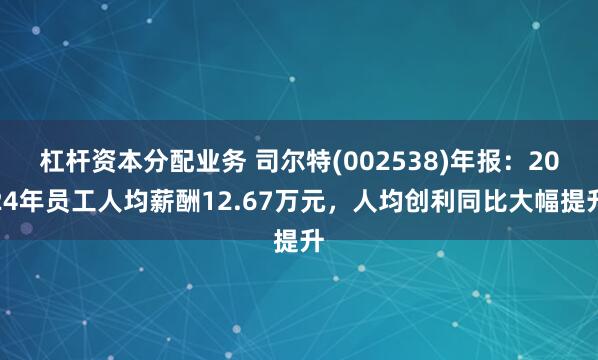 杠杆资本分配业务 司尔特(002538)年报：2024年员工人均薪酬12.67万元，人均创利同比大幅提升