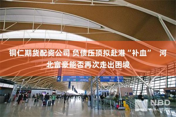 铜仁期货配资公司 负债压顶拟赴港“补血”   河北富豪能否再次走出困境
