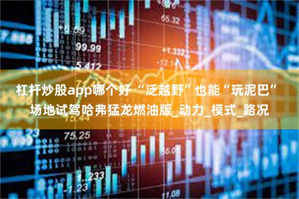 杠杆炒股app哪个好 “泛越野”也能“玩泥巴” 场地试驾哈弗猛龙燃油版_动力_模式_路况