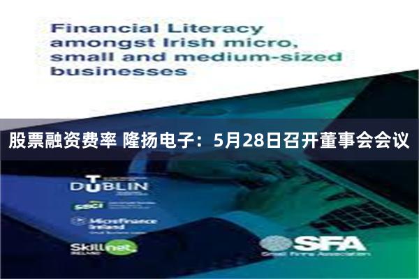 股票融资费率 隆扬电子：5月28日召开董事会会议