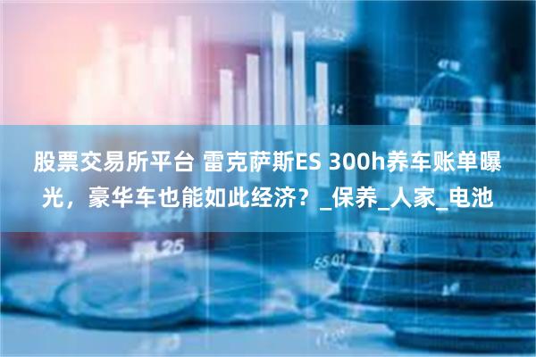 股票交易所平台 雷克萨斯ES 300h养车账单曝光，豪华车也能如此经济？_保养_人家_电池