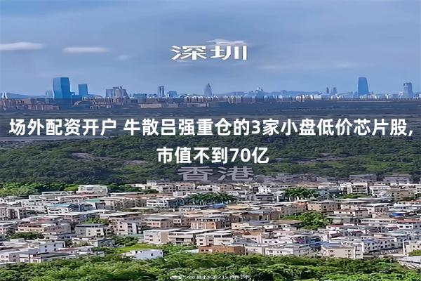 场外配资开户 牛散吕强重仓的3家小盘低价芯片股, 市值不到70亿