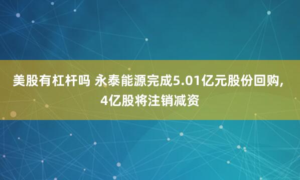 美股有杠杆吗 永泰能源完成5.01亿元股份回购, 4亿股将注销减资