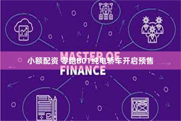 小额配资 零跑B01纯电轿车开启预售